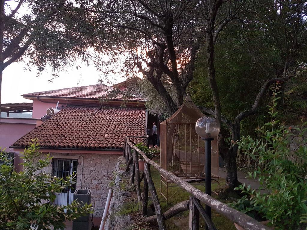 La Camera Tra Gli Ulivi Dream Finale Finale Ligure Exterior photo