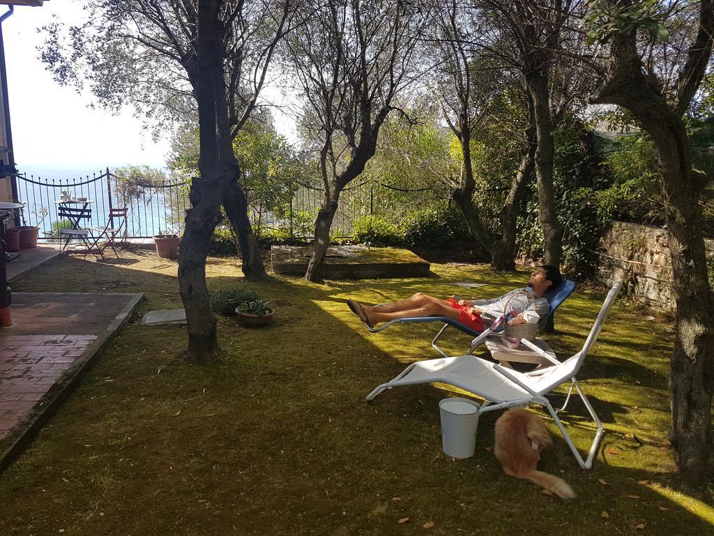 La Camera Tra Gli Ulivi Dream Finale Finale Ligure Exterior photo